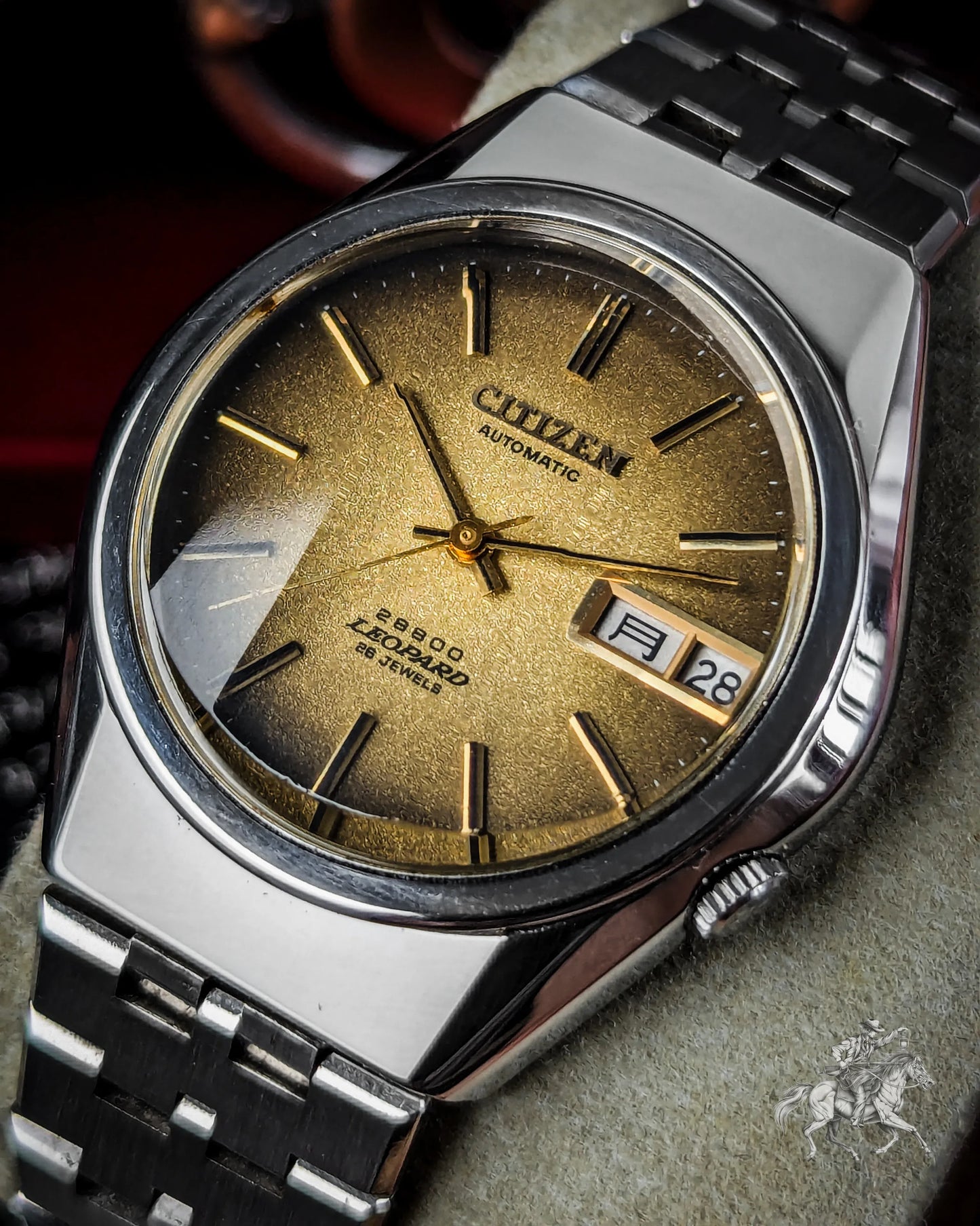 Citizen Leopard - 4-771028