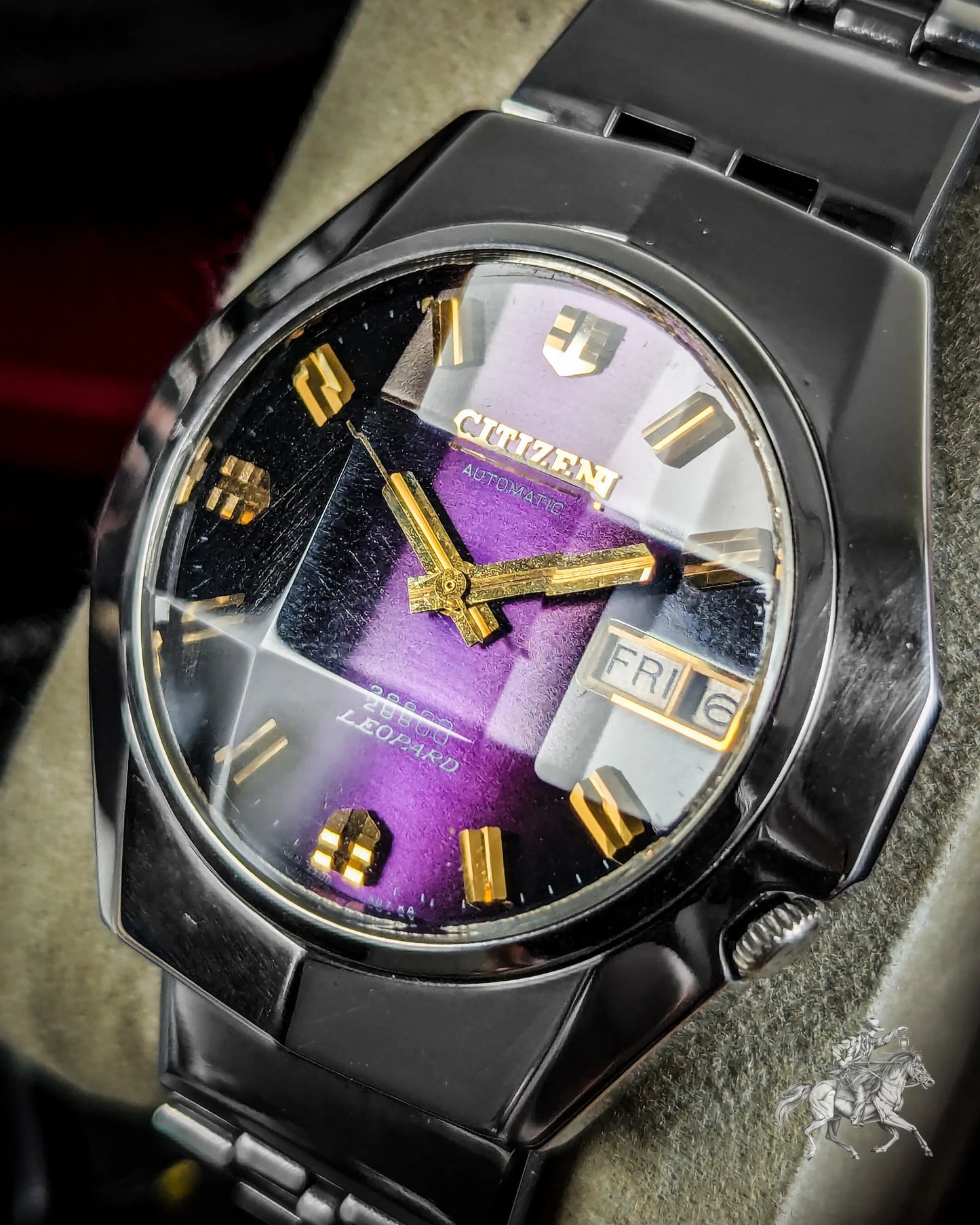 Citizen Leopard - 4-771044