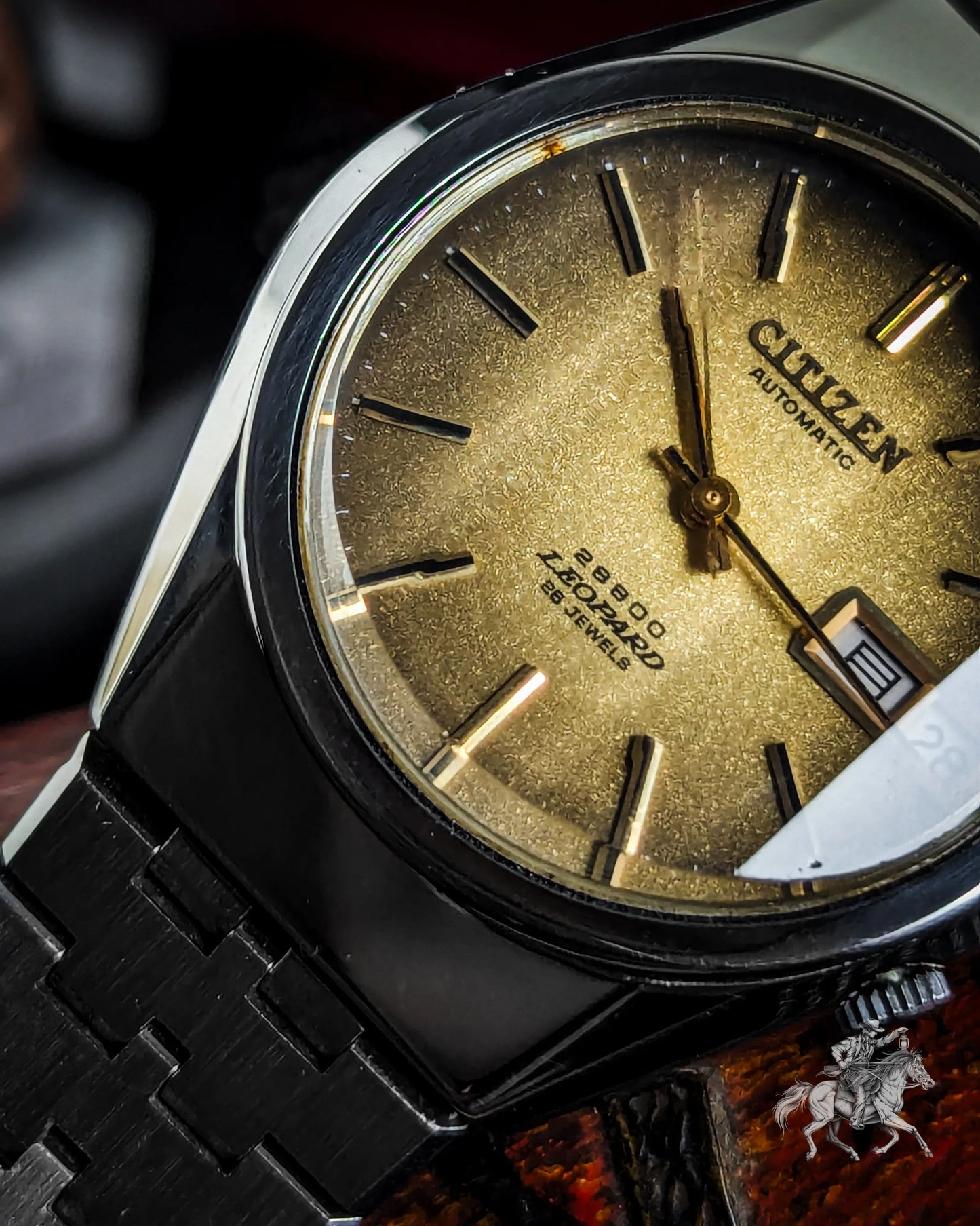 Citizen Leopard - 4-771028