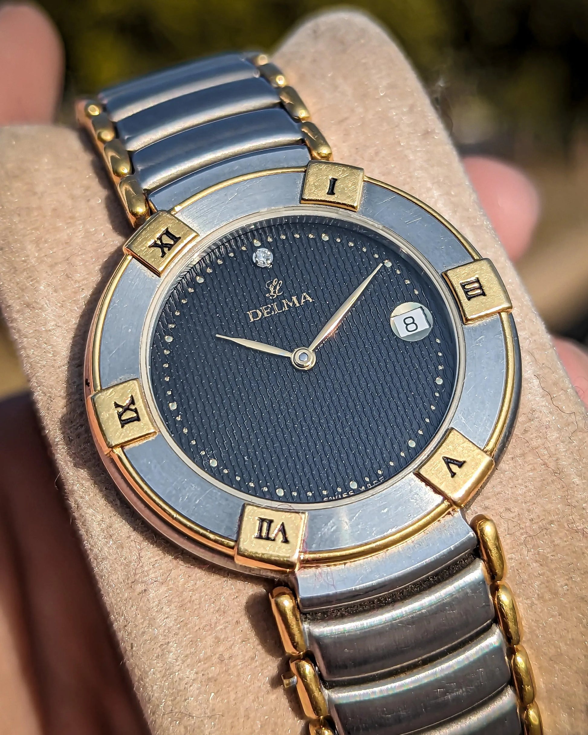 Delma sapphire crystal watch